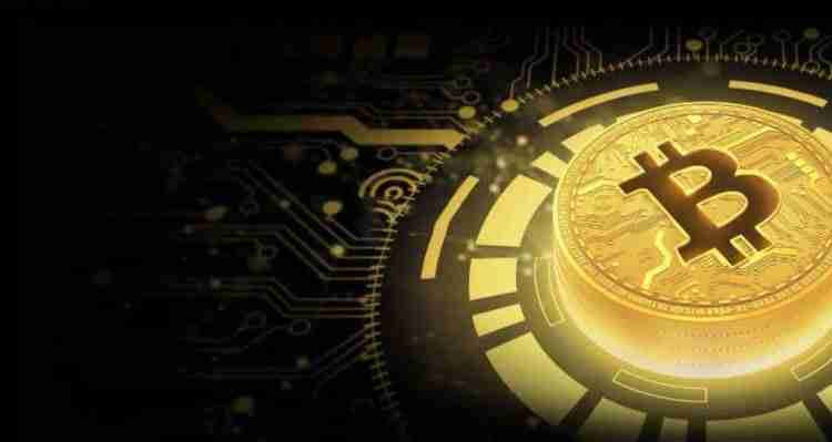 加密货币上主网后会上涨吗？会上涨几倍？